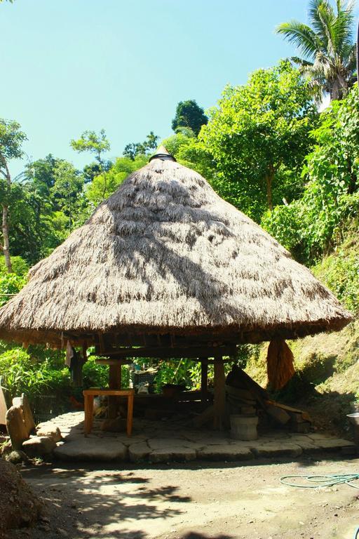 Batad Transient House Hotel Banaue Room photo