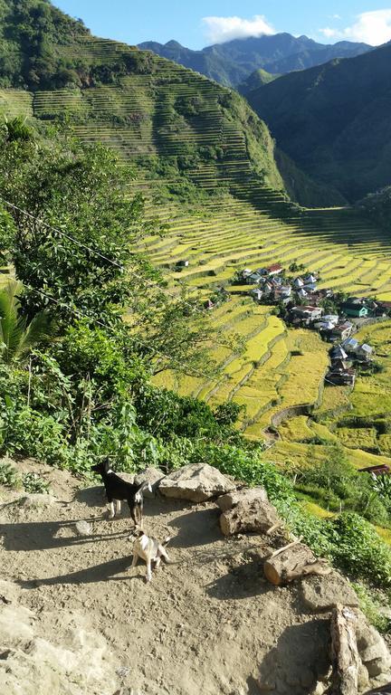 Batad Transient House Hotel Banaue Exterior photo